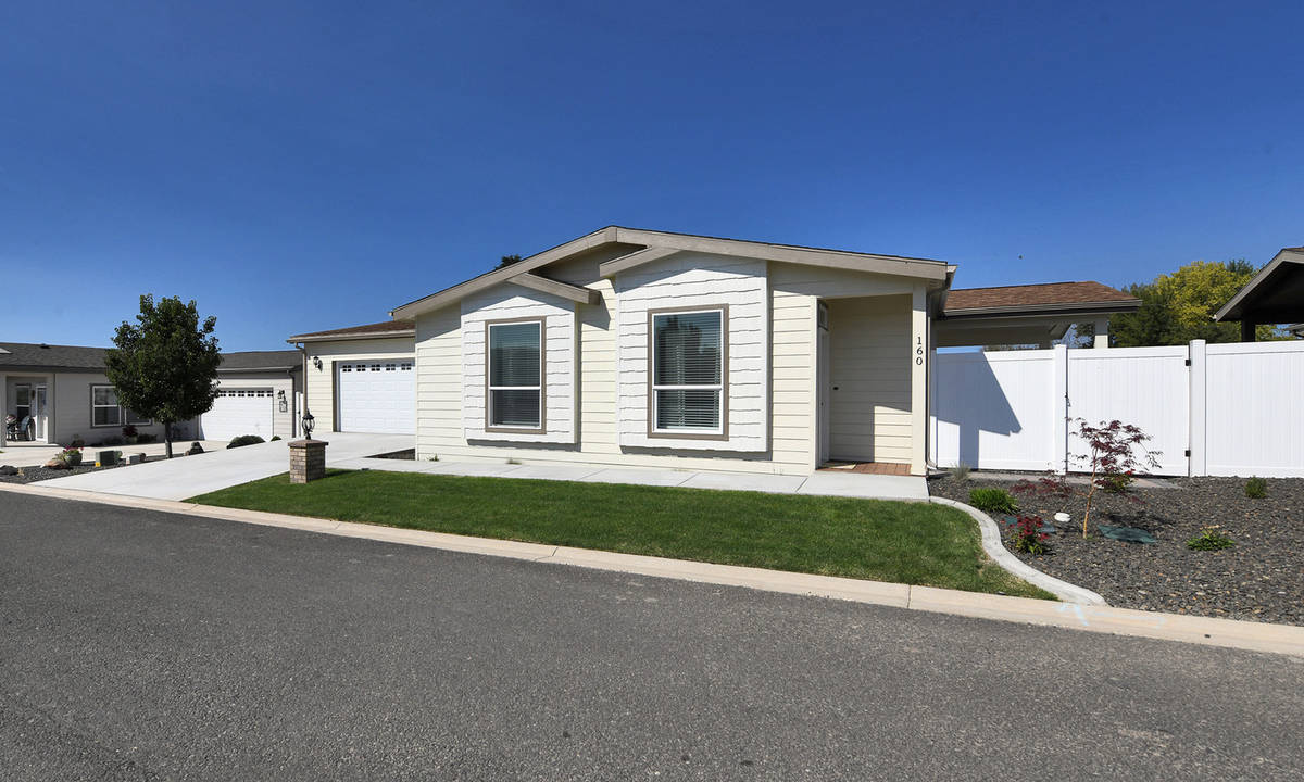 The Aster (Lot 160)