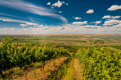 Yakima Valley Wine